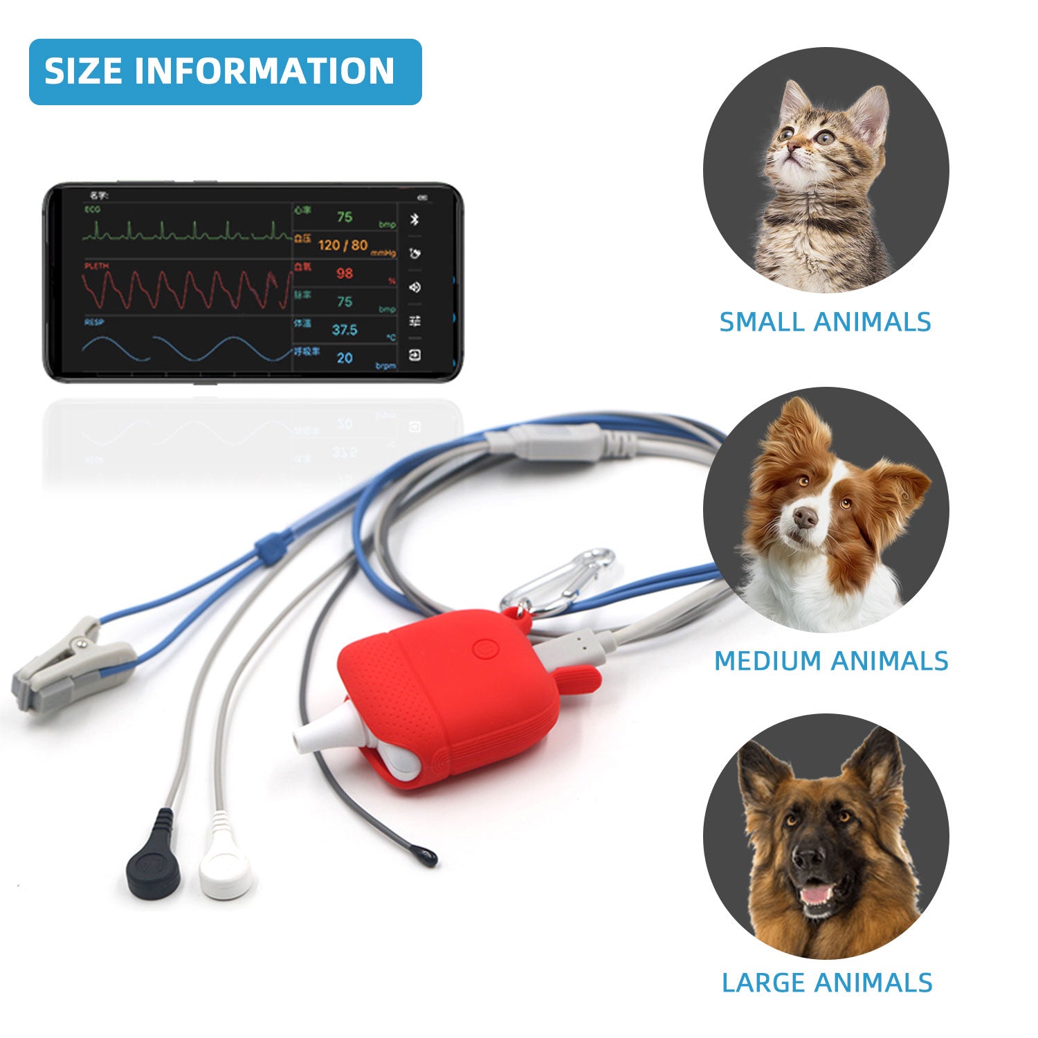 Berry Am4100 Red Infrared Remote Vet oximeter Support ecg spo2 pr temProfessional Veterinary use Monitor for animal use ECG,SpO2,Temperature