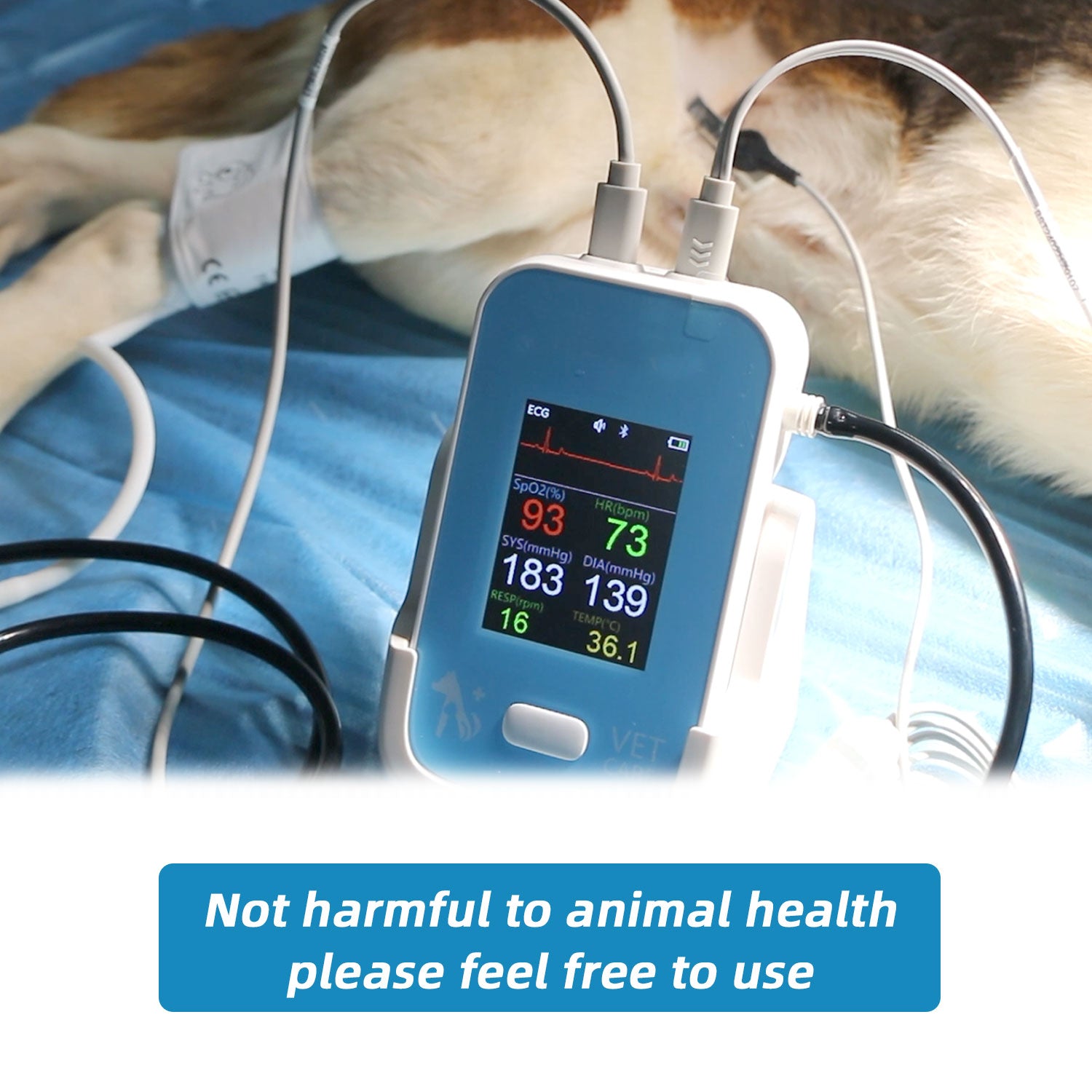 Digital Veterinary Monitor for Dog Cat Pets, Electronic Rechargeable Animal Vital Signs Monitoring Equipment, Blood Pressure and Pulse Oximeter Monitor for Family Hospital Use