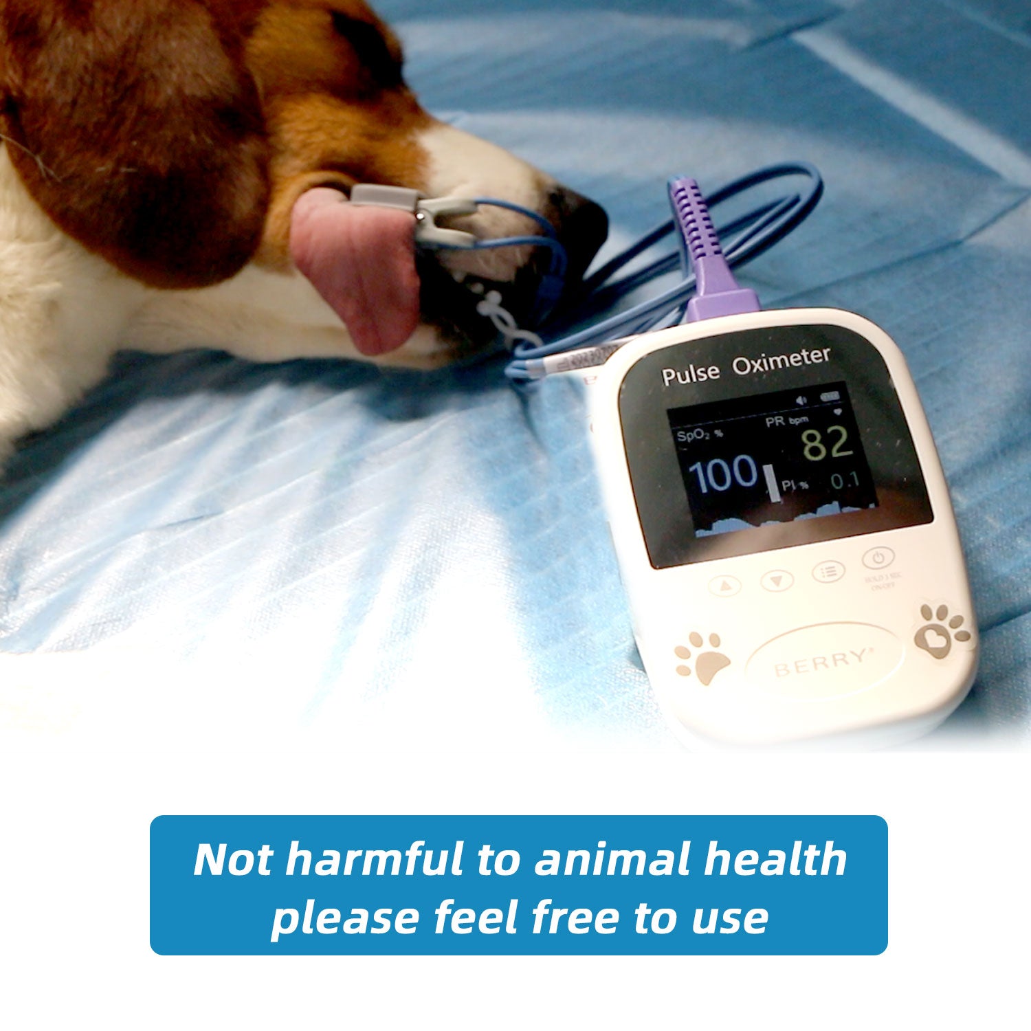 BERRY Veterinary Spo2 Pulse Oximeter,Handheld Digital Animal Pulse Oximeter Equipment for Pet Dog and Cat Tongue Probe,Easy to use and Accurate Monitor, Bluetooth 5.0 & Battery Powered (Not Included)