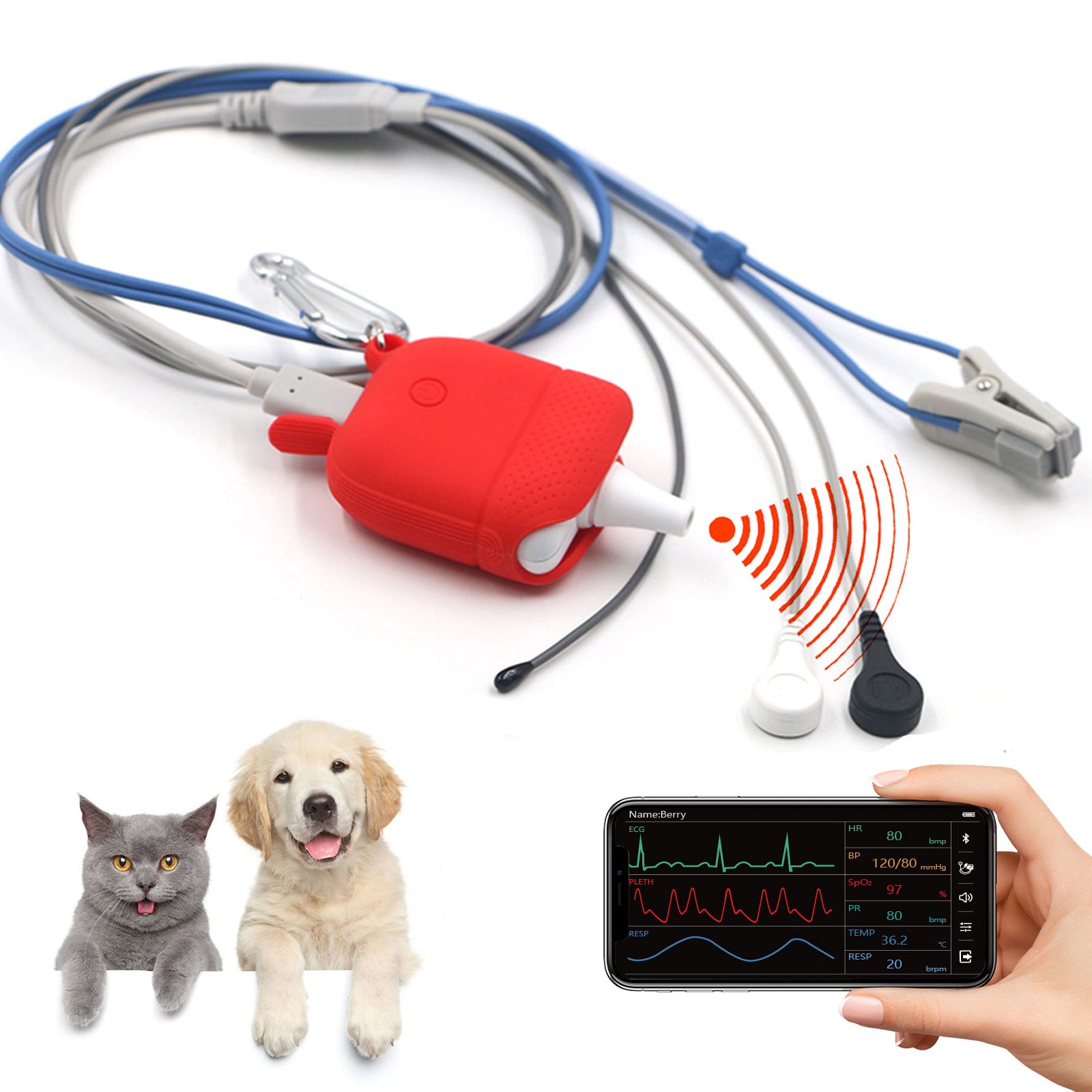 Berry Am4100 Red Infrared Remote Vet oximeter Support ecg spo2 pr temProfessional Veterinary use Monitor for animal use ECG,SpO2,Temperature